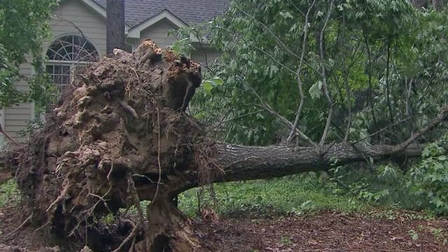 Cary sees widespread downed trees, power outages after storm