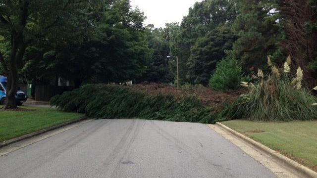 After storms, tree blocks Raleigh road