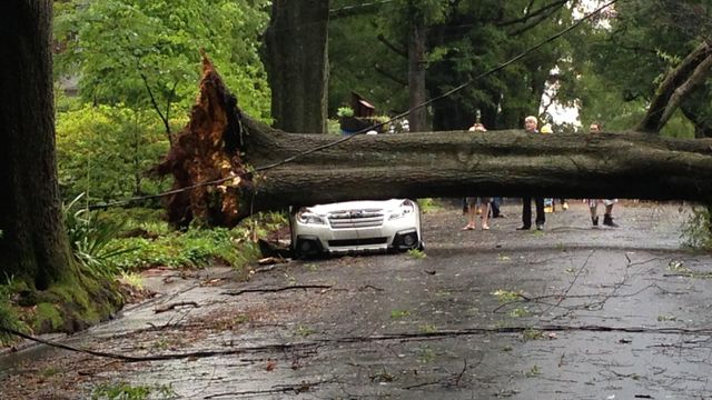 Storms cause downed trees, power outages in Durham