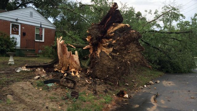 Tree just misses Sanford couple's home