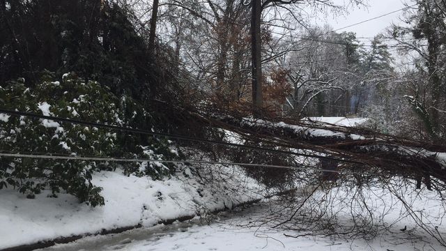 Tree blocks Raleigh families from leaving neighborhood
