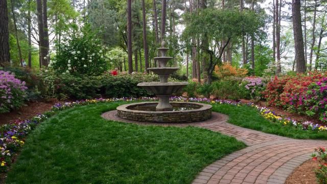 Spring blooms in the WRAL Azalea Gardens