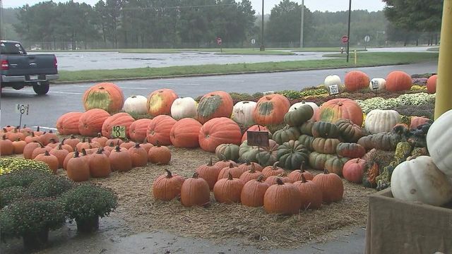 Storms complicating pumpkin sales for local farmers