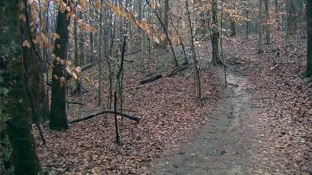 Jordan Lake flooding washes out First Day Hike