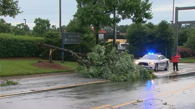 Rain downed trees, caused trouble at RDU