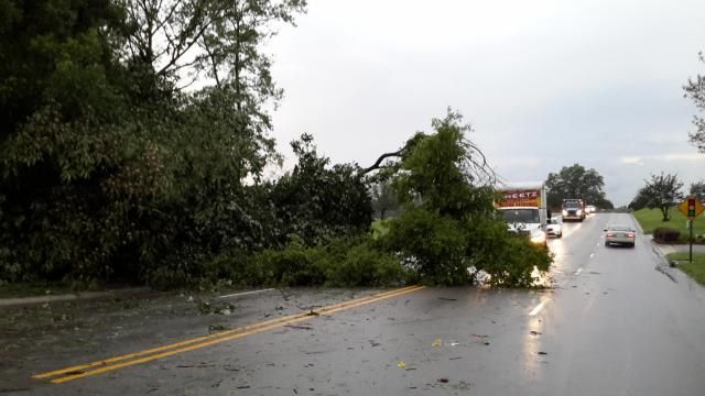 Tree down near Woodlan Park cemetery