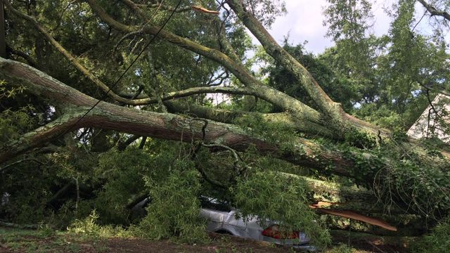 Severe storms cause damage across Durham