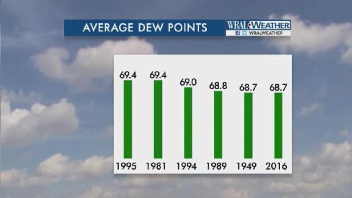 what does dew point mean