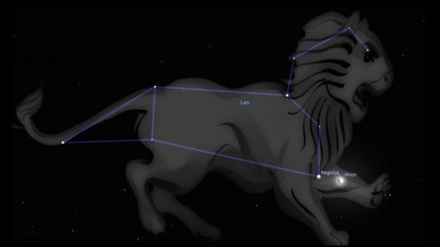 Leo Moon Regulus