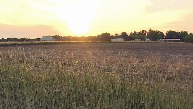 Flooding continues to plague Wayne County farmers