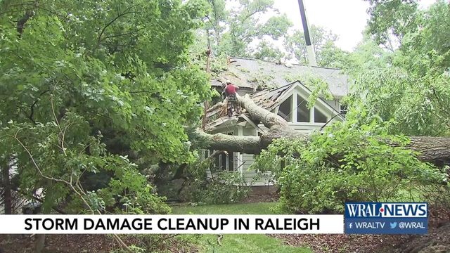 Trees topple, power flickers as overnight storms roll through