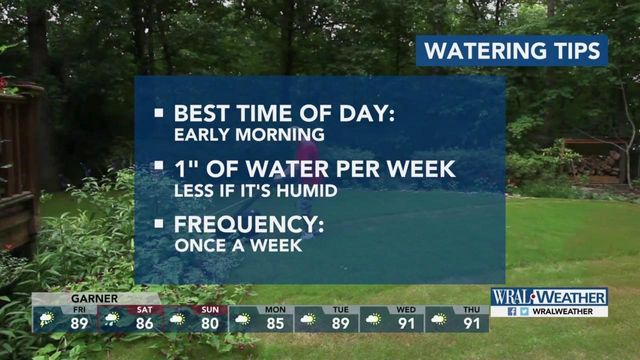 1 inch of water, once per week: Tips to keep lawn healthy