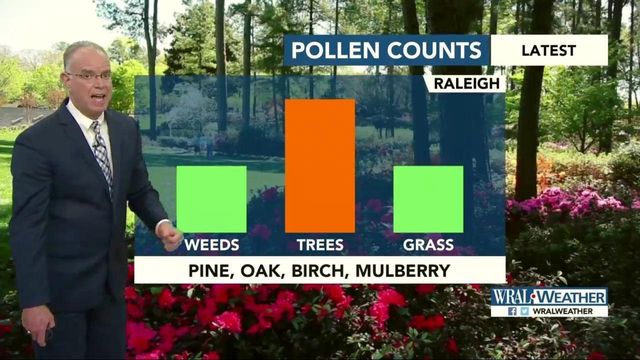 Maze: No relief from pollen any time soon