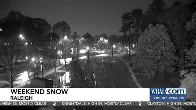 Did you miss it? Snow fell in the WRAL Azalea Gardens last night