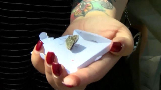 Raw: Vegas remembers mass shooting with butterfly release