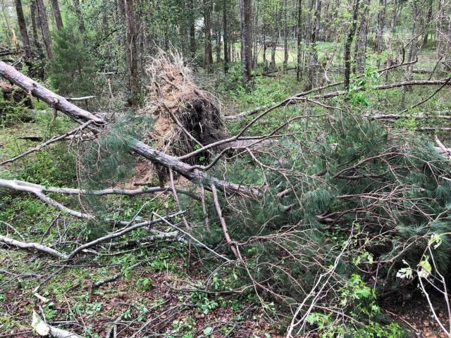 National Weather Service confirms EF1 tornado touched down near Wendell