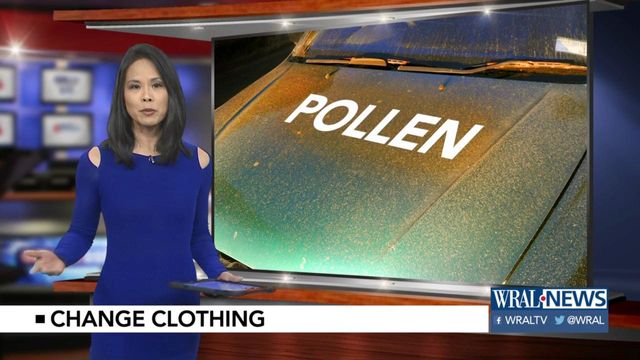 Dr. Mask's tips for pollen season and spring allergies