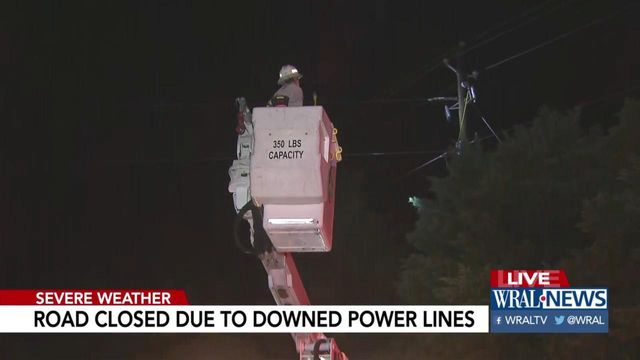 Power out, trees down after severe storms
