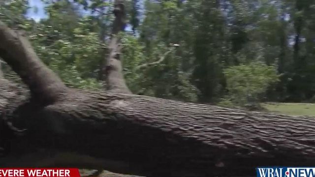 Zebulon residents recall frightening moments from storm