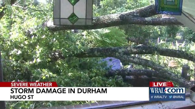 Tree falls through Durham home's roof