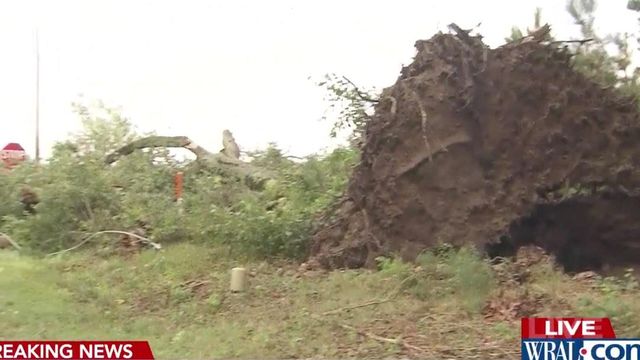 Isolated storms blamed for damage in Raleigh