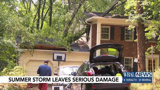 Storms bring down trees, create damage