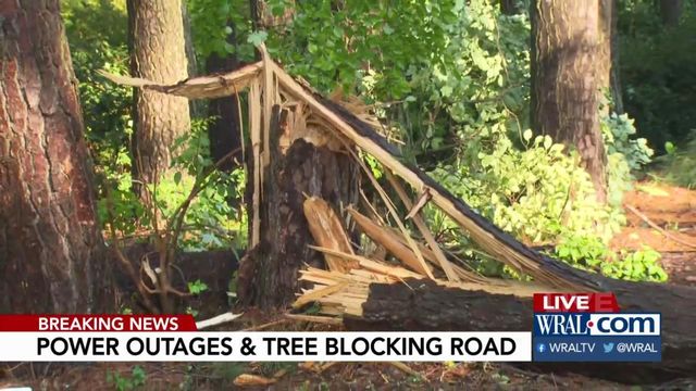 Trees falls on Apex road, causing power outage