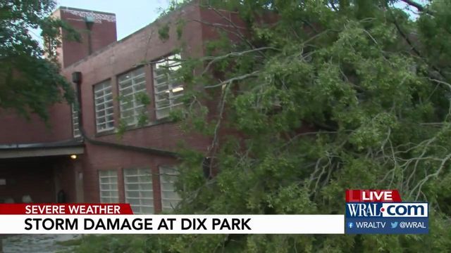 Crews to clean up storm damage at Dix Park on Tuesday