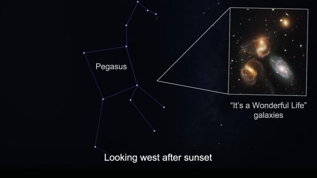 Angels in the sky