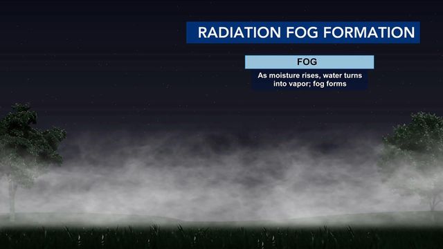 WRAL Weather lesson: How fog forms