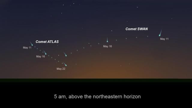 Comets ATLAS and SWAN