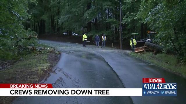 Crews remove tree from Apex road