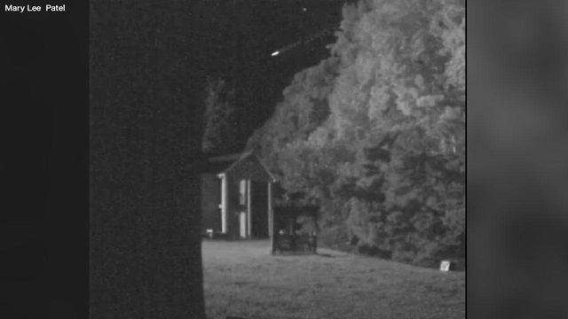 Backyard security camera captures Perseid meteor shower