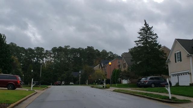 Strong winds shake tree branches in north Raleigh