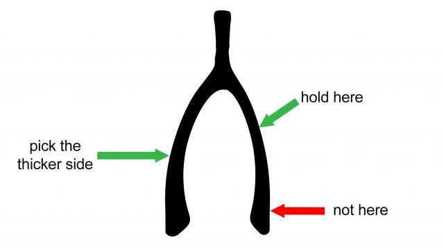 winning wishbone strategies