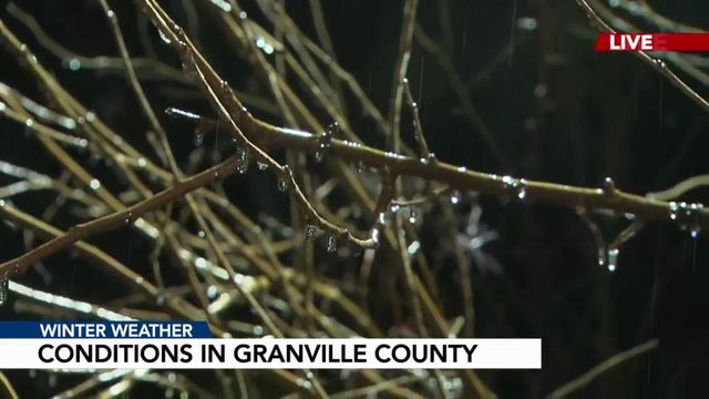 Tree limbs covered with ice in Granville County