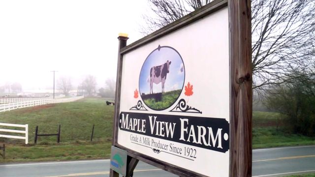 Maple View Farm will stop making milk, keep making ice cream