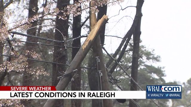 Downed power lines, snapped trees reported in Raleigh