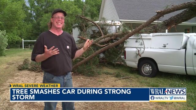 Bad break: Tree falls on man's truck on same day he fixes it up 