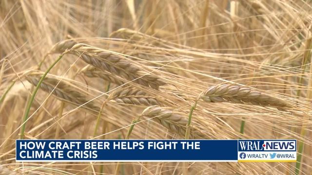 How local craft beer brewers help fight the climate crisis