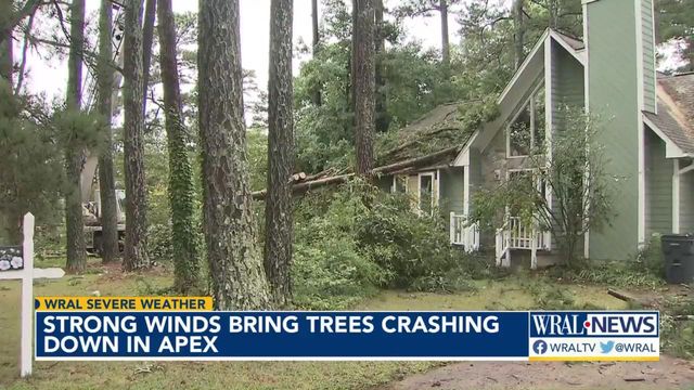 Tree crashes through Apex roof in thunderstorm