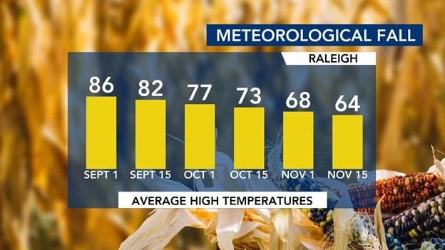 Meteorological fall
