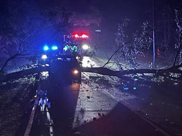 Impacts from heavy rain, flooding: Water rescue in Raleigh, tree down ...