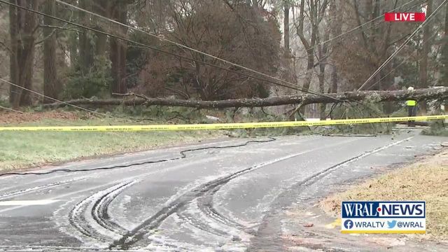 Downed tree closes Cary intersection