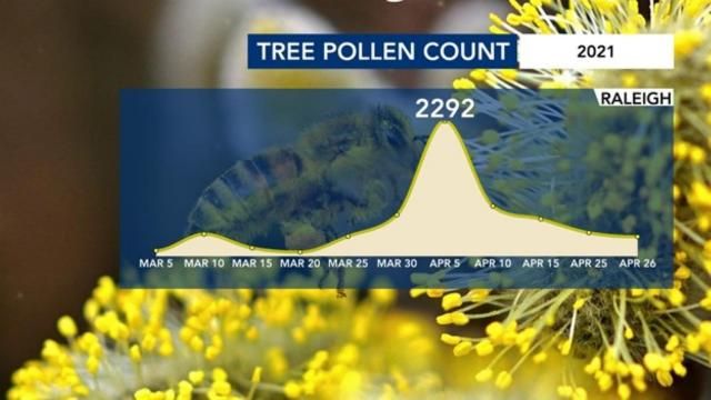 Spring-like temperatures are back. Here's the typical pollen timeline ...