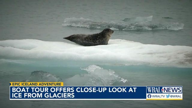 Boat tour offers close up of Iceland's glaciers