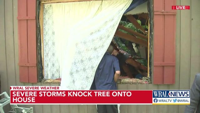 Close calls: Trees crash into bedrooms, near homes across central NC, but no injuries reported 