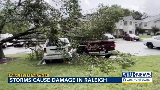 Storms leave damage behind in the Triangle