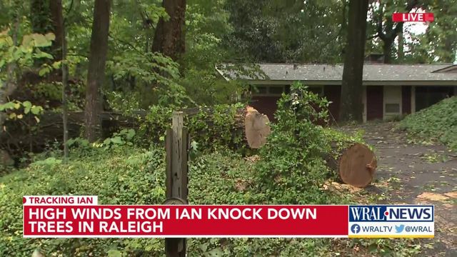 High winds from Ian knock down trees in Raleigh 
