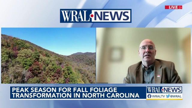 North Carolina reaches peak season for fall foliage transformation